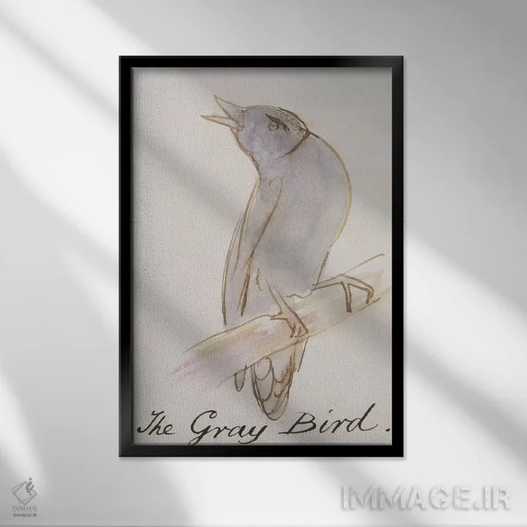 تابلو from 'Sixteen Drawings of Comic Birds',پرنده خاکستری، از "شانزده طرح پرندگان طنزآمیز" اثر ادوارد لیر (شاعر و تصویرگر انگلیسی) - نمای قابدار مشکی