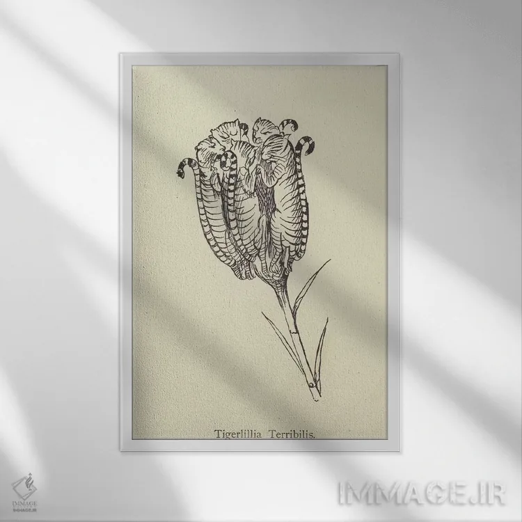 تابلو تایگرلیلیا ترابیلیس (گونه گیاهی) اثر ادوارد لیر (شاعر و تصویرگر انگلیسی) - نمای قابدار سفید