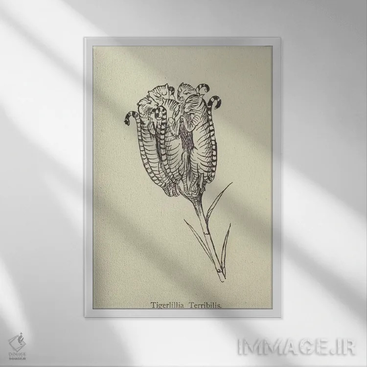 تابلو تایگرلیلیا ترابیلیس (گونه گیاهی) اثر ادوارد لیر (شاعر و تصویرگر انگلیسی) - نمای قابدار سفید