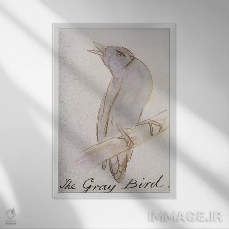تابلو from 'Sixteen Drawings of Comic Birds',پرنده خاکستری، از "شانزده طرح پرندگان طنزآمیز" اثر ادوارد لیر (شاعر و تصویرگر انگلیسی) - نمای قابدار سفید