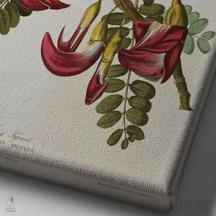 تابلو پرنده تیرانت خاکستری، پرنده شاه خاکستری از "پرندگان آمریکا" اثر جان جیمز آدوبون (نقاش و پرندهشناس) - نمای نزدیک بافت بوم