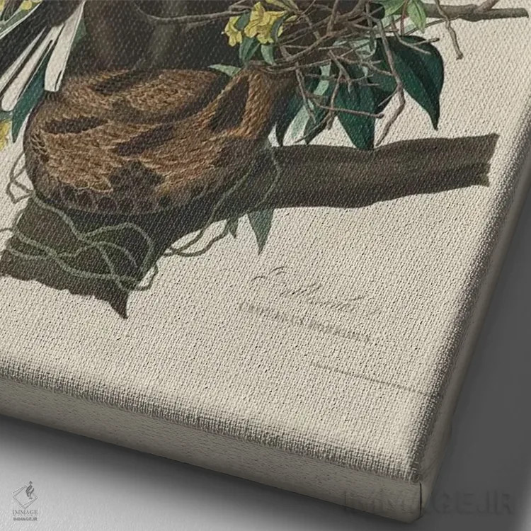 تابلو 1827,مرغ مقلد، ۱۸۲۷ اثر جان جیمز آدوبون (نقاش و پرندهشناس) - نمای نزدیک بافت بوم