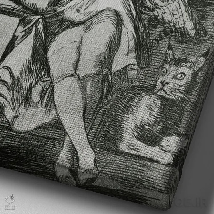 تابلو خواب عقل هیولا میزاید (عکس سیاه و سفید از تصویرسازی مجموعه "کاپریچوس")، ۱۷۹۹ اثر فرانسیسکو گویا (نقاش و چاپگر اسپانیایی) - نمای نزدیک بافت بوم
