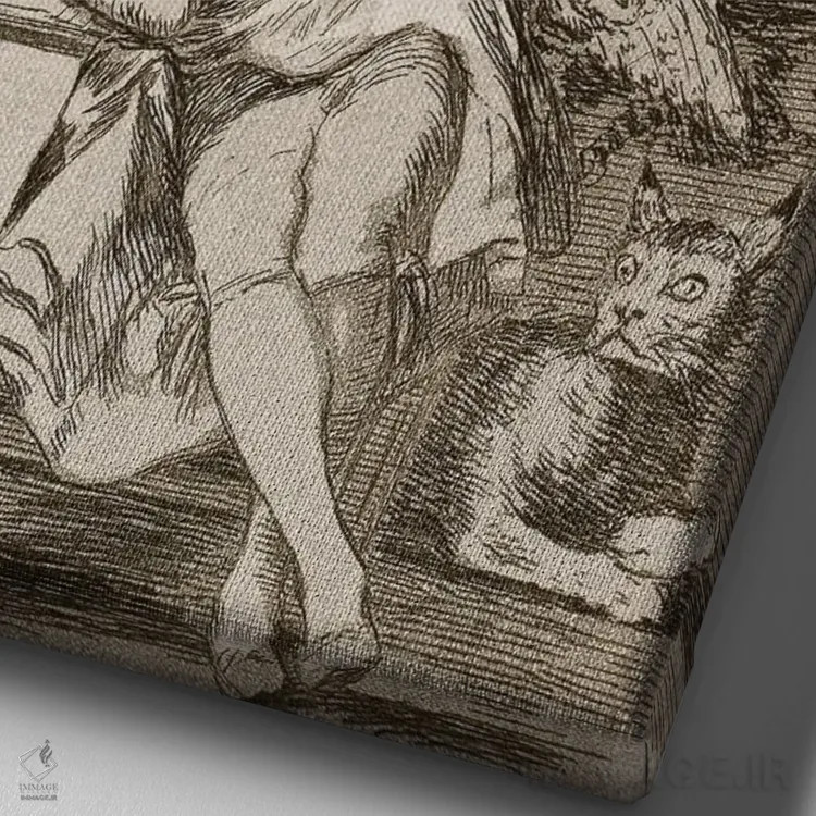 تابلو خواب عقل هیولا میزاید (تصویرسازی از مجموعه "کاپریچوس")، ۱۷۹۹ اثر فرانسیسکو گویا (نقاش و چاپگر اسپانیایی) - نمای نزدیک بافت بوم