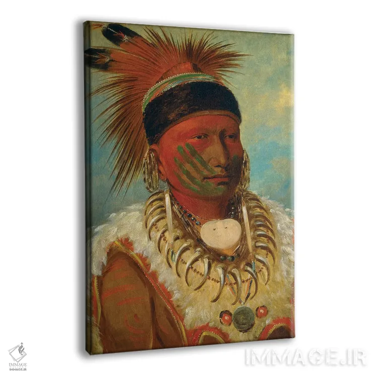 تابلو Head Chief Of The Iowas, 1844-45,ابر سفید، رئیس اعظم قبیله ایوا، ۱۸۴۴-۴۵ اثر جورج کتلین (نقاش بومیان آمریکا) - نمای پرسپکتیو محصول