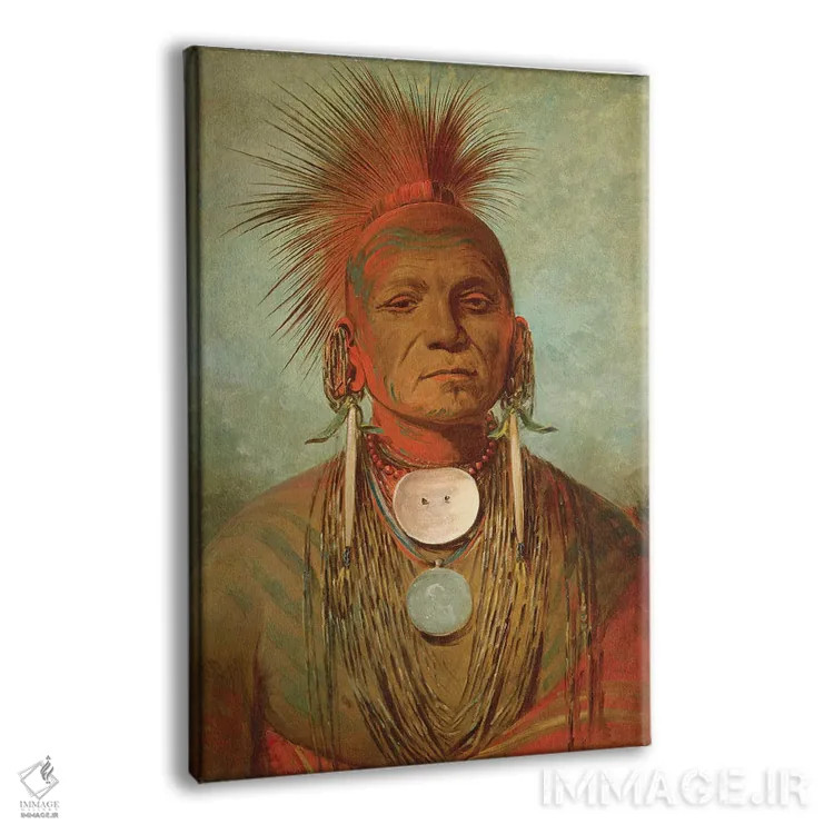 تابلو An Iowa Medicine Man, c.1844-45,سینانتیا، مرد داروی ایوا، حدود ۱۸۴۴-۴۵ اثر جورج کتلین (نقاش بومیان آمریکا) - نمای پرسپکتیو محصول