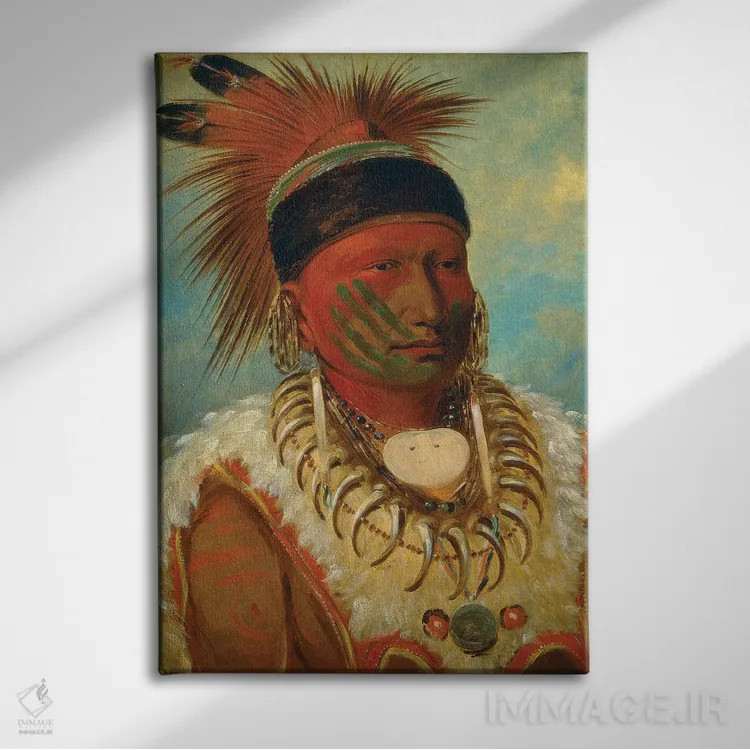 تابلو Head Chief Of The Iowas, 1844-45,ابر سفید، رئیس اعظم قبیله ایوا، ۱۸۴۴-۴۵ اثر جورج کتلین (نقاش بومیان آمریکا) - نمای روبهرو روی دیوار