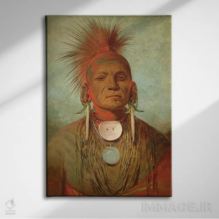 تابلو An Iowa Medicine Man, c.1844-45,سینانتیا، مرد داروی ایوا، حدود ۱۸۴۴-۴۵ اثر جورج کتلین (نقاش بومیان آمریکا) - نمای روبهرو روی دیوار