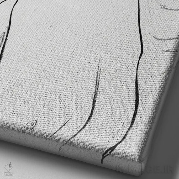 تابلو 1893-94,پوستر تبلیغ نمایشنامههای "یک ورشکستگی" و "شاعر و سرمایهدار"، ۱۸۹۳–۹۴ اثر آنری دو تولوز-لوترک - نمای نزدیک بافت بوم