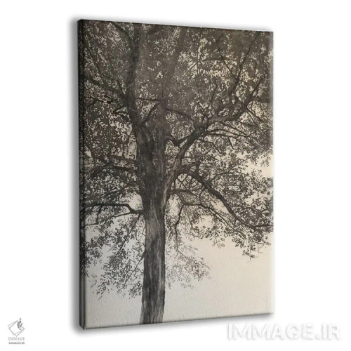 تابلو 2018,پرترهٔ مادرم، ۲۰۱۸ اثر انگوس همپل - نمای پرسپکتیو محصول