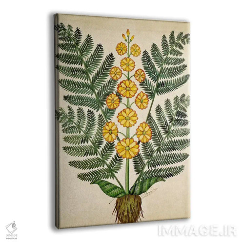 تابلو سرخس با گلهای زرد، صفحهای از یک بذرفروش در اوئیزان اثر مکتب فرانسوی (سبک یا جریان هنری) - نمای پرسپکتیو محصول