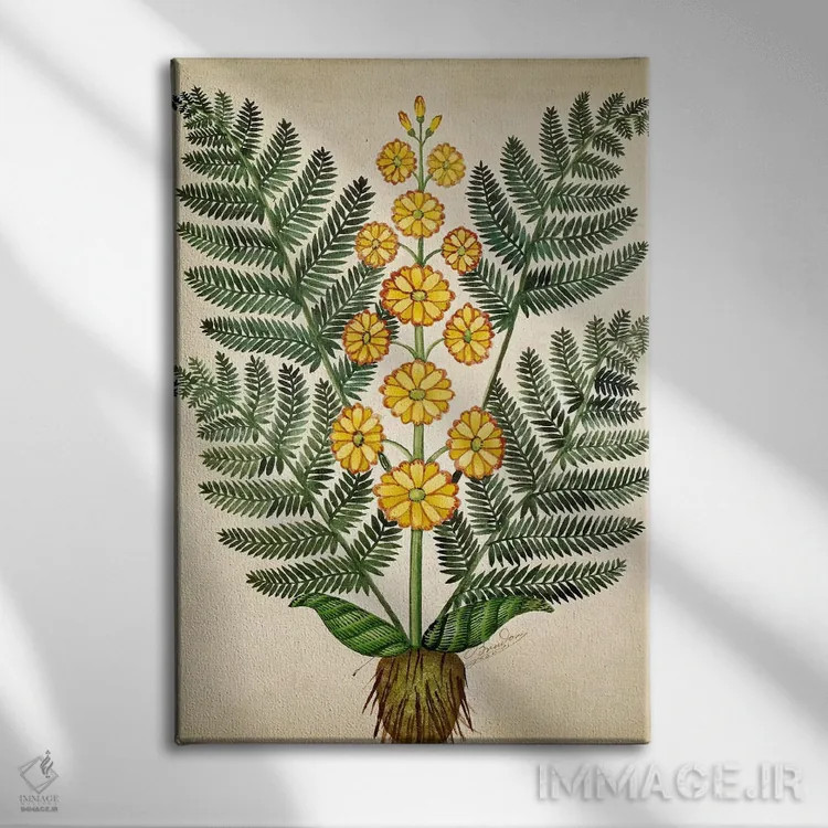 تابلو سرخس با گلهای زرد، صفحهای از یک بذرفروش در اوئیزان اثر مکتب فرانسوی (سبک یا جریان هنری) - نمای روبهرو روی دیوار