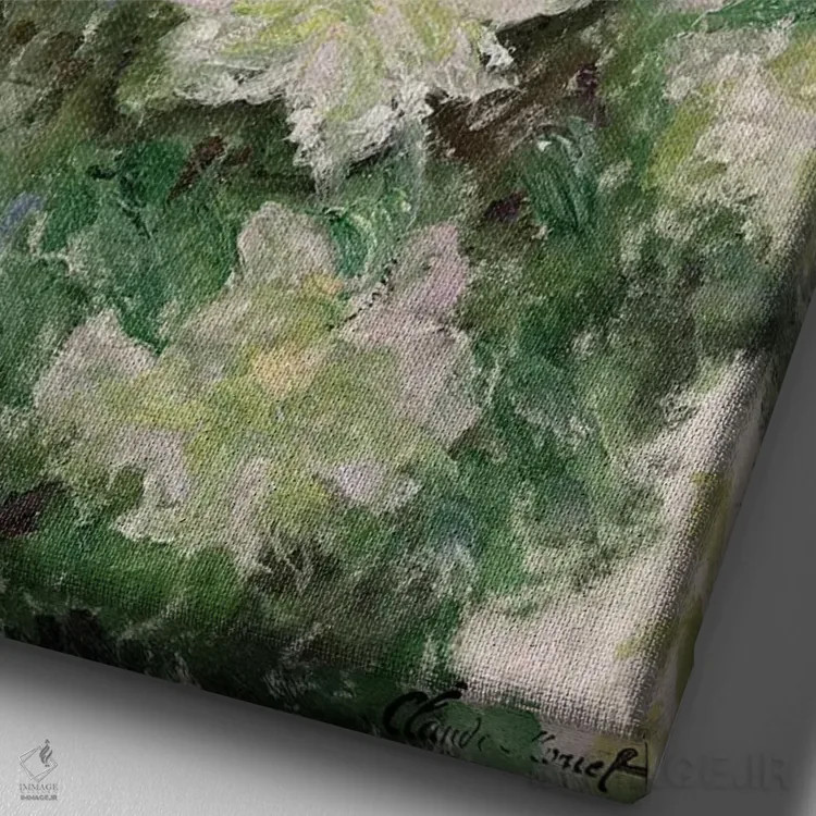 تابلو کلماتیس سفید، ۱۸۸۷ اثر کلود مونه (نقاش معروف فرانسوی) - نمای نزدیک بافت بوم
