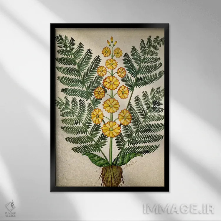 تابلو سرخس با گلهای زرد، صفحهای از یک بذرفروش در اوئیزان اثر مکتب فرانسوی (سبک یا جریان هنری) - نمای قابدار مشکی