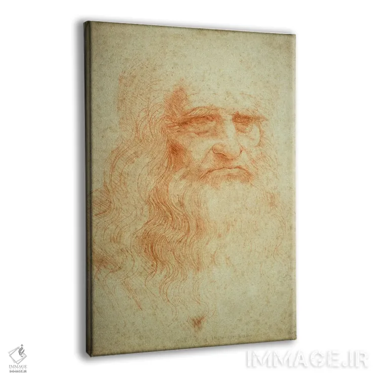 تابلو خودنگاره، حدود ۱۵۱۵-۱۶ (موزه سلطنتی تورین) اثر لئوناردو داوینچی (نقاش و مخترع ایتالیایی) - نمای پرسپکتیو محصول