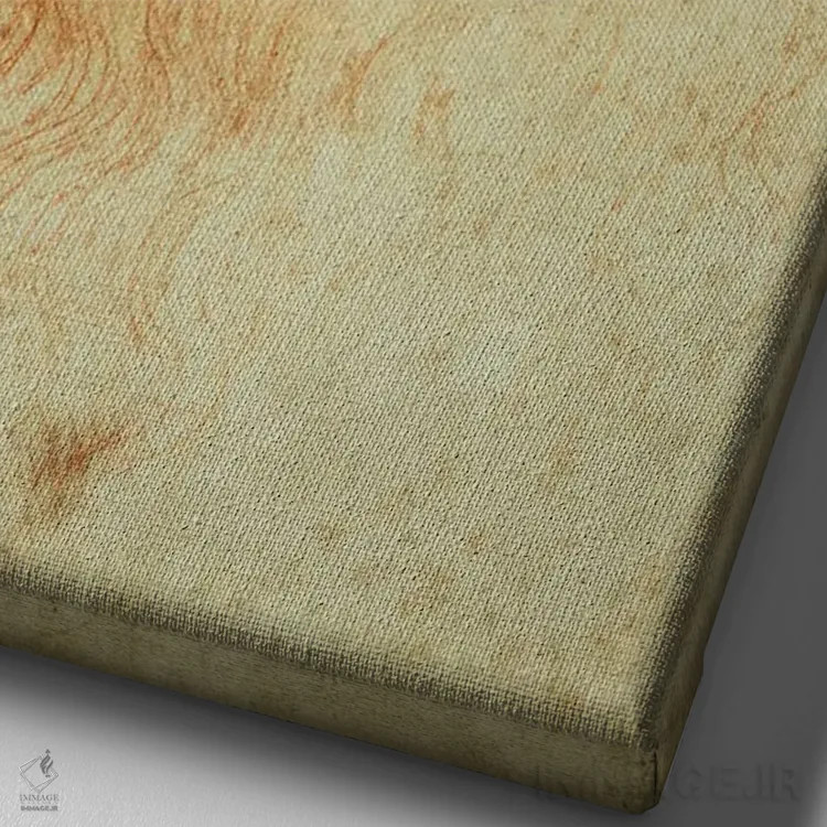 تابلو خودنگاره، حدود ۱۵۱۵-۱۶ (موزه سلطنتی تورین) اثر لئوناردو داوینچی (نقاش و مخترع ایتالیایی) - نمای نزدیک بافت بوم