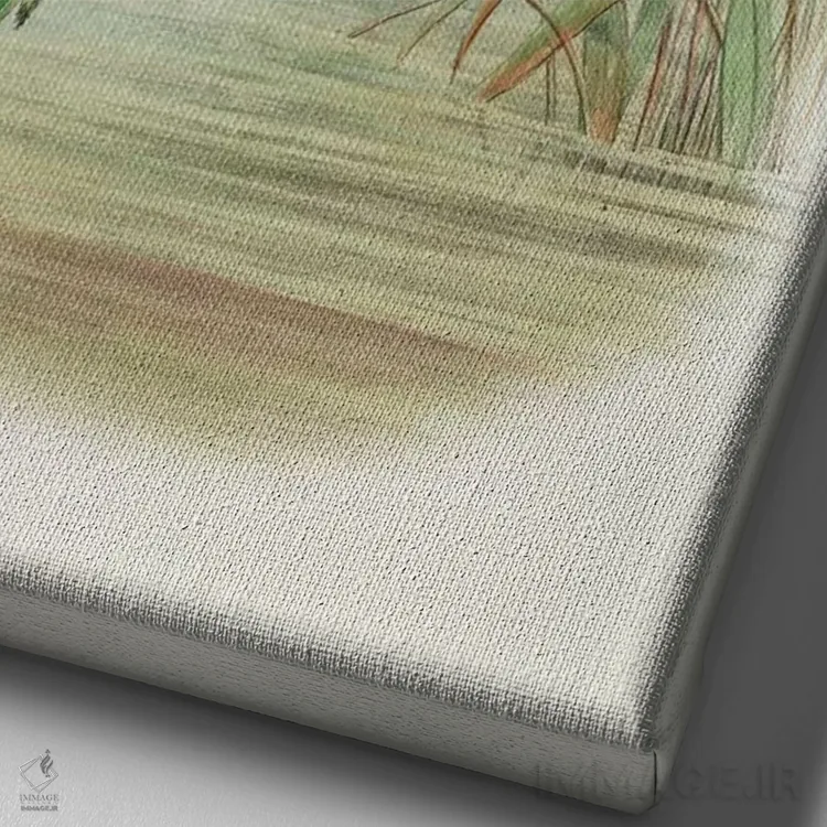 تابلو آلسدوی اسپیدا، تصویر از مجموعه "پرندگان بریتانیای کبیر" اثر جان گولد، چاپ ۱۸۶۲-۷۳ (نام علمی مرغ ماهیخوار) اثر جان گولد - نمای نزدیک بافت بوم