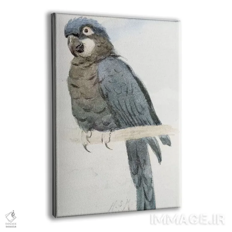 تابلو c.1890,ماکائوی سنبلی، حدود ۱۸۹۰ اثر هنری استیسی مارکس - نمای پرسپکتیو محصول