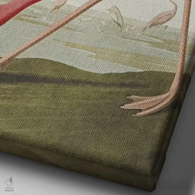 تابلو فلامینگوی آمریکایی اثر جان جیمز آدوبون (نقاش و پرندهشناس) - نمای نزدیک بافت بوم