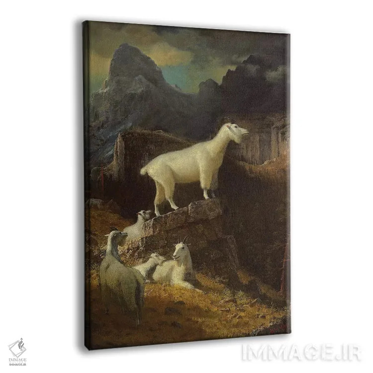تابلو c.1885,بزهای کوهستانی راکی، حدود ۱۸۸۵ اثر آلبرت بیرشتات (نقاش منظره آمریکایی) - نمای پرسپکتیو محصول