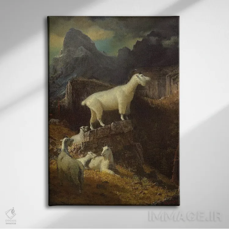 تابلو c.1885,بزهای کوهستانی راکی، حدود ۱۸۸۵ اثر آلبرت بیرشتات (نقاش منظره آمریکایی) - نمای روبهرو روی دیوار