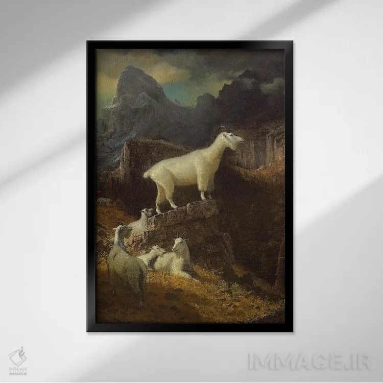 تابلو c.1885,بزهای کوهستانی راکی، حدود ۱۸۸۵ اثر آلبرت بیرشتات (نقاش منظره آمریکایی) - نمای قابدار مشکی