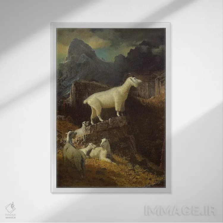 تابلو c.1885,بزهای کوهستانی راکی، حدود ۱۸۸۵ اثر آلبرت بیرشتات (نقاش منظره آمریکایی) - نمای قابدار سفید