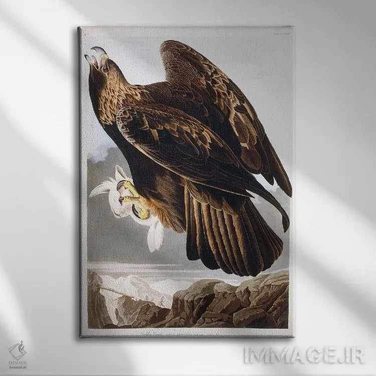 تابلو 1833،عقاب طلایی، ۱۸۳۳ (پرنده شکاری) اثر جان جیمز آدوبون (نقاش و پرندهشناس) - نمای روبهرو روی دیوار