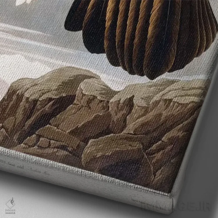 تابلو 1833،عقاب طلایی، ۱۸۳۳ (پرنده شکاری) اثر جان جیمز آدوبون (نقاش و پرندهشناس) - نمای نزدیک بافت بوم