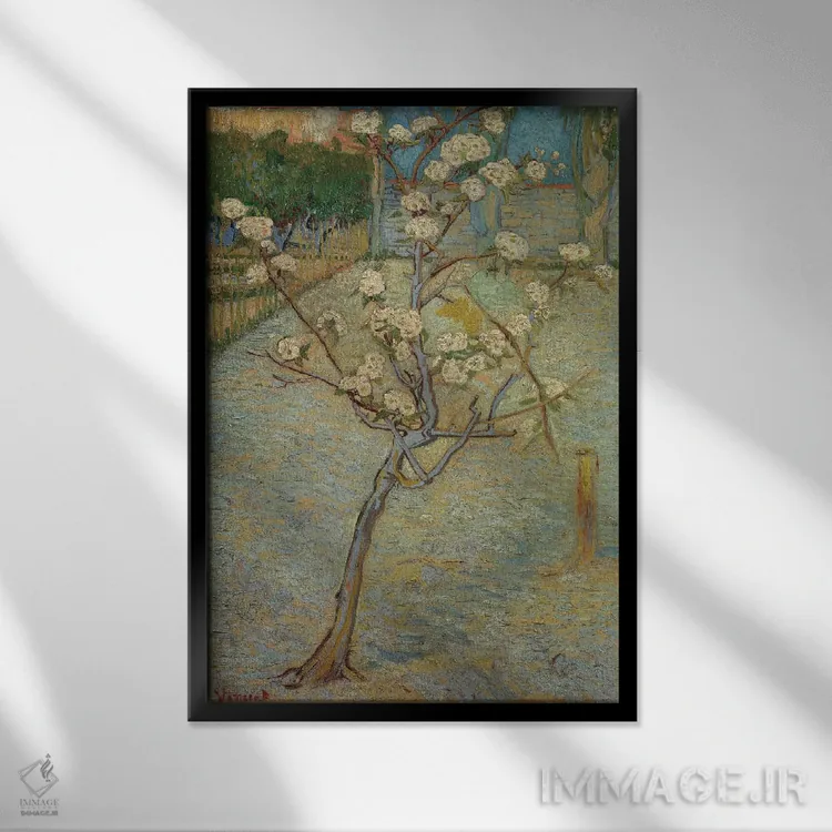 تابلو درختچه گلابی در شکوفه، ۱۸۸۸ اثر ونسان ون گوگ (نقاش مشهور هلندی پستامپرسیونیسم) - نمای قابدار مشکی