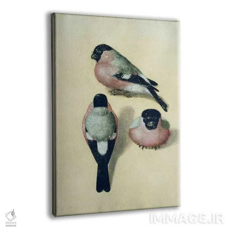 تابلو سه طرح از سهرهٔ سرخ اثر آلبریشت دورر (نقاش آلمانی) - نمای پرسپکتیو محصول