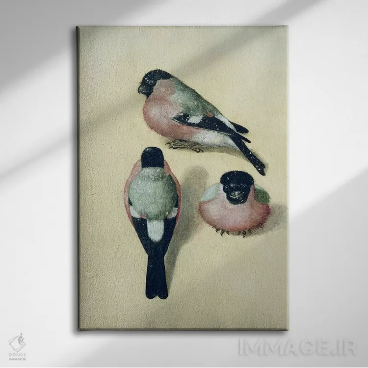 تابلو سه طرح از سهرهٔ سرخ اثر آلبریشت دورر (نقاش آلمانی) - نمای روبهرو روی دیوار