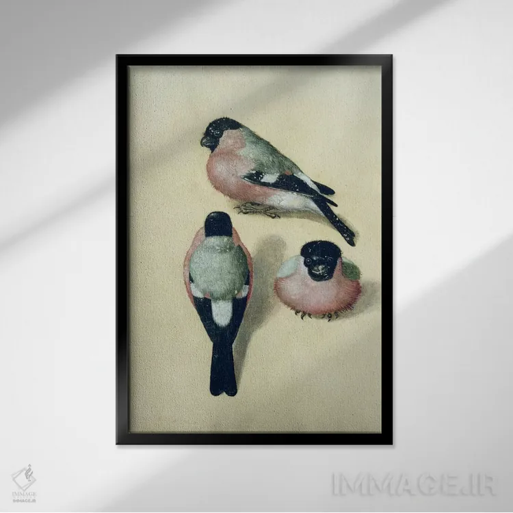 تابلو سه طرح از سهرهٔ سرخ اثر آلبریشت دورر (نقاش آلمانی) - نمای قابدار مشکی