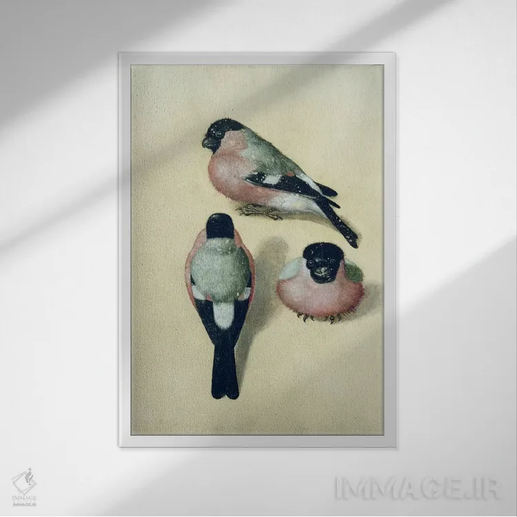 تابلو سه طرح از سهرهٔ سرخ اثر آلبریشت دورر (نقاش آلمانی) - نمای قابدار سفید