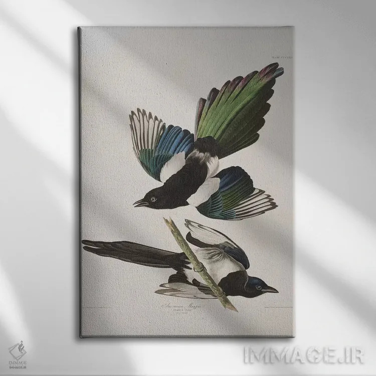تابلو زاغ آمریکایی اثر جان جیمز آدوبون (نقاش و پرندهشناس) - نمای روبهرو روی دیوار