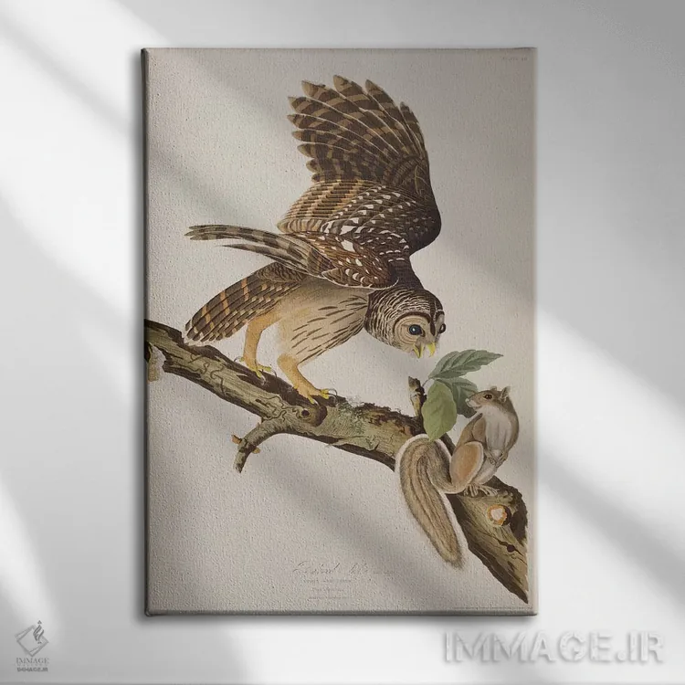 تابلو جغد خطدار و سنجاب خاکستری اثر جان جیمز آدوبون (نقاش و پرندهشناس) - نمای روبهرو روی دیوار