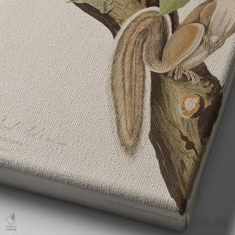 تابلو جغد خطدار و سنجاب خاکستری اثر جان جیمز آدوبون (نقاش و پرندهشناس) - نمای نزدیک بافت بوم