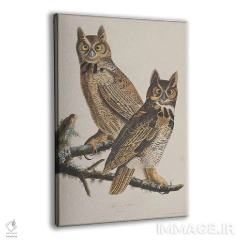 تابلو جغد شاخدار بزرگ اثر جان جیمز آدوبون (نقاش و پرندهشناس) - نمای پرسپکتیو محصول