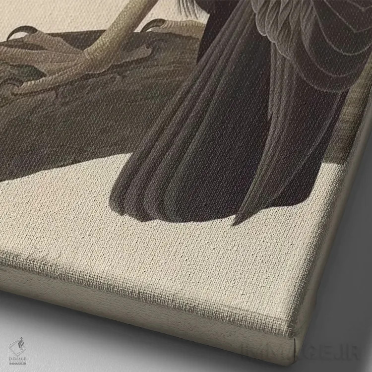 تابلو کرکس کالیفرنیایی اثر جان جیمز آدوبون (نقاش و پرندهشناس) - نمای نزدیک بافت بوم