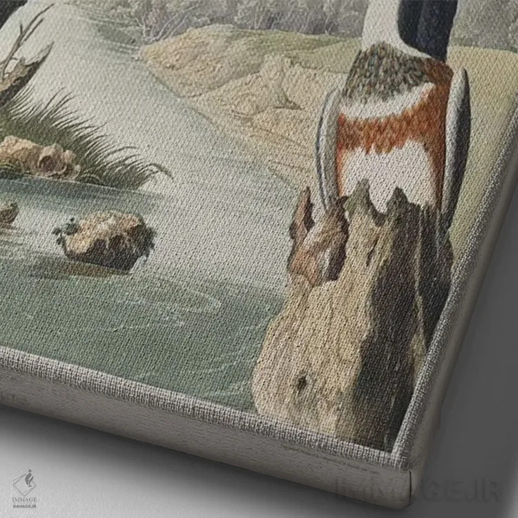 تابلو مرغ ماهیخوار کمربنددار اثر جان جیمز آدوبون (نقاش و پرندهشناس) - نمای نزدیک بافت بوم