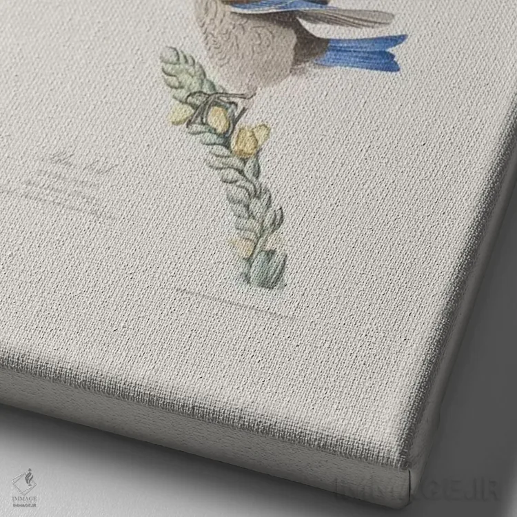 تابلو پرنده آبی و گل ماهور بزرگ اثر جان جیمز آدوبون (نقاش و پرندهشناس) - نمای نزدیک بافت بوم