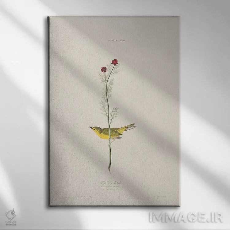 تابلو مگسگیر سلـبی و چشم قرقاول اثر جان جیمز آدوبون (نقاش و پرندهشناس) - نمای روبهرو روی دیوار