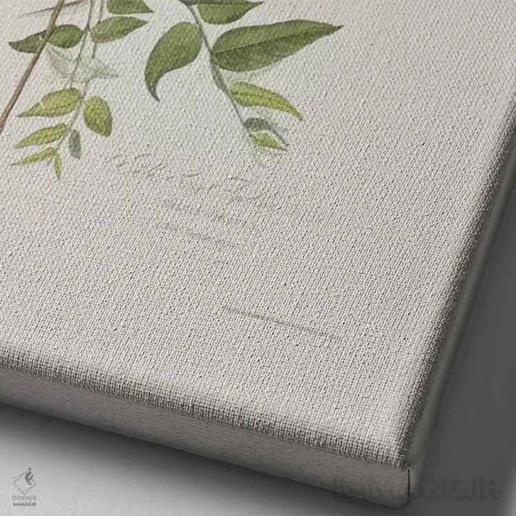 تابلو مگسگیر آبی-خاکستری و گردوی سیاه اثر جان جیمز آدوبون (نقاش و پرندهشناس) - نمای نزدیک بافت بوم