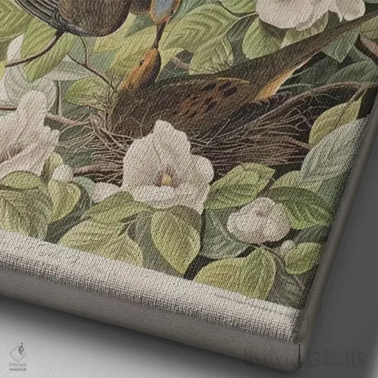 تابلو قمری کارولینا و استوارتیا ویرجینیا اثر جان جیمز آدوبون (نقاش و پرندهشناس) - نمای نزدیک بافت بوم