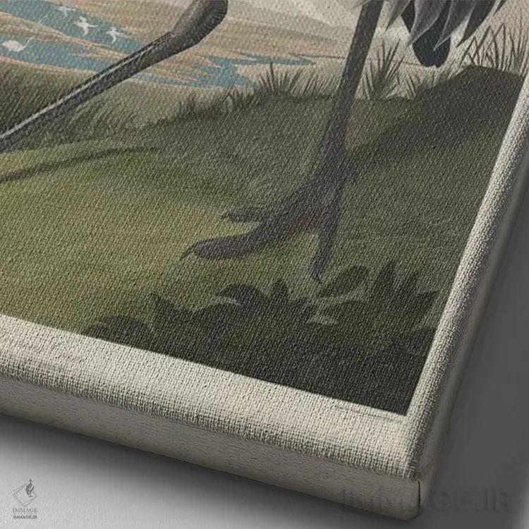 تابلو درنای فریادکش اثر جان جیمز آدوبون (نقاش و پرندهشناس) - نمای نزدیک بافت بوم