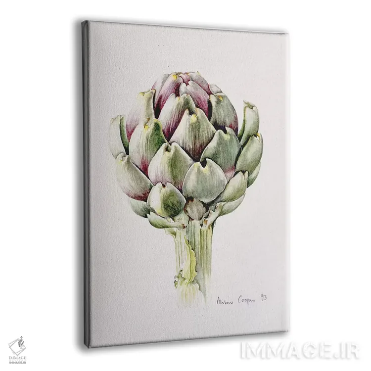 تابلو 1993,مطالعه کنگر فرنگی، ۱۹۹۳ اثر آلیسون کوپر - نمای پرسپکتیو محصول