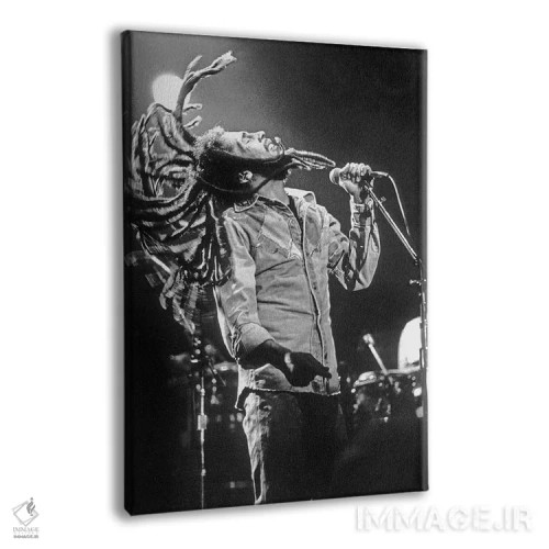 تابلو Los Angeles on May 26, 1976,باب مارلی در کنسرت رگی در راکسی، لسآنجلس، ۲۶ مه ۱۹۷۶ اثر رو دز آرشیو (آرشیو خیابان) - نمای پرسپکتیو محصول