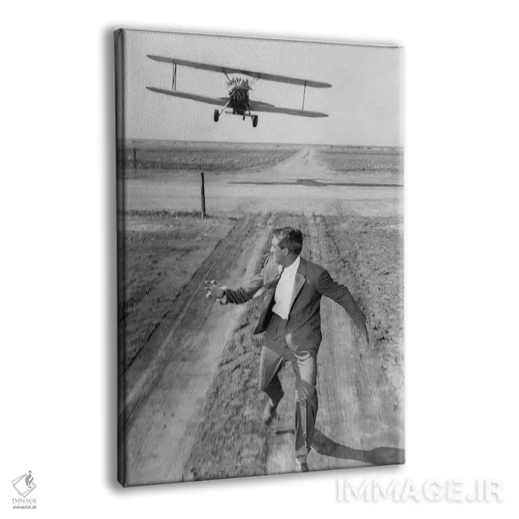 تابلو کری گرانت اثر رو دز آرشیو (آرشیو خیابان) - نمای پرسپکتیو محصول