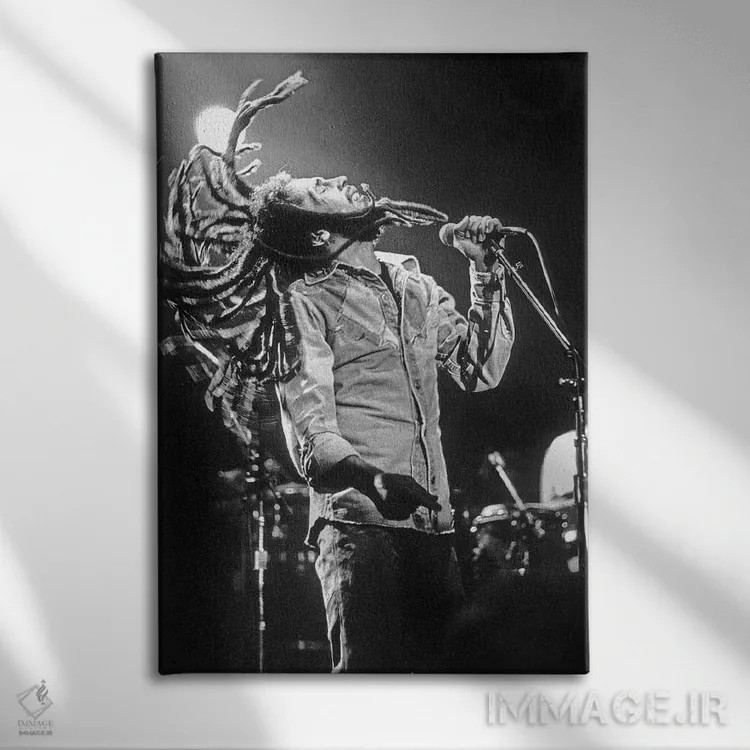 تابلو Los Angeles on May 26, 1976,باب مارلی در کنسرت رگی در راکسی، لسآنجلس، ۲۶ مه ۱۹۷۶ اثر رو دز آرشیو (آرشیو خیابان) - نمای روبهرو روی دیوار