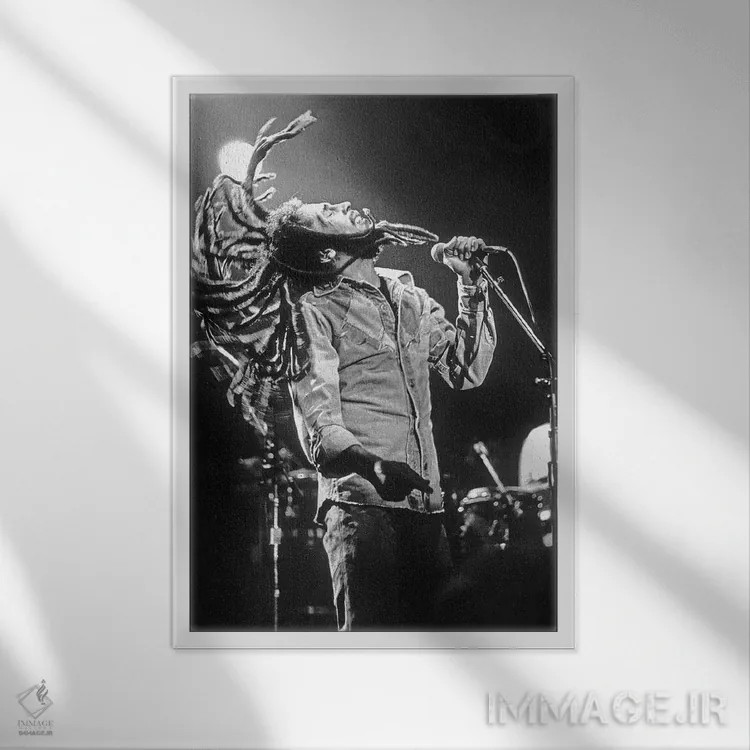 تابلو Los Angeles on May 26, 1976,باب مارلی در کنسرت رگی در راکسی، لسآنجلس، ۲۶ مه ۱۹۷۶ اثر رو دز آرشیو (آرشیو خیابان) - نمای قابدار سفید